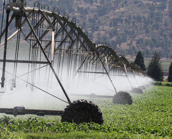 irrigation-6986021_1920 irrigation-6986021_1920